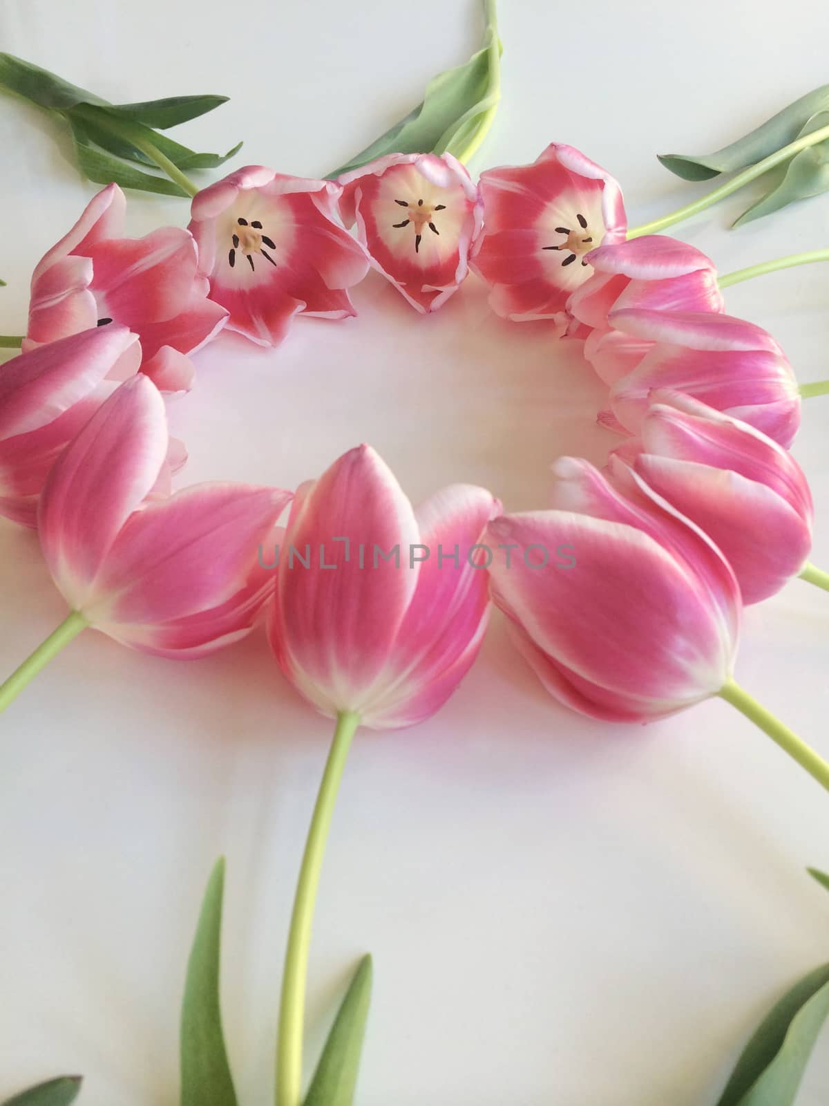Arrangement of pink and white tulips
