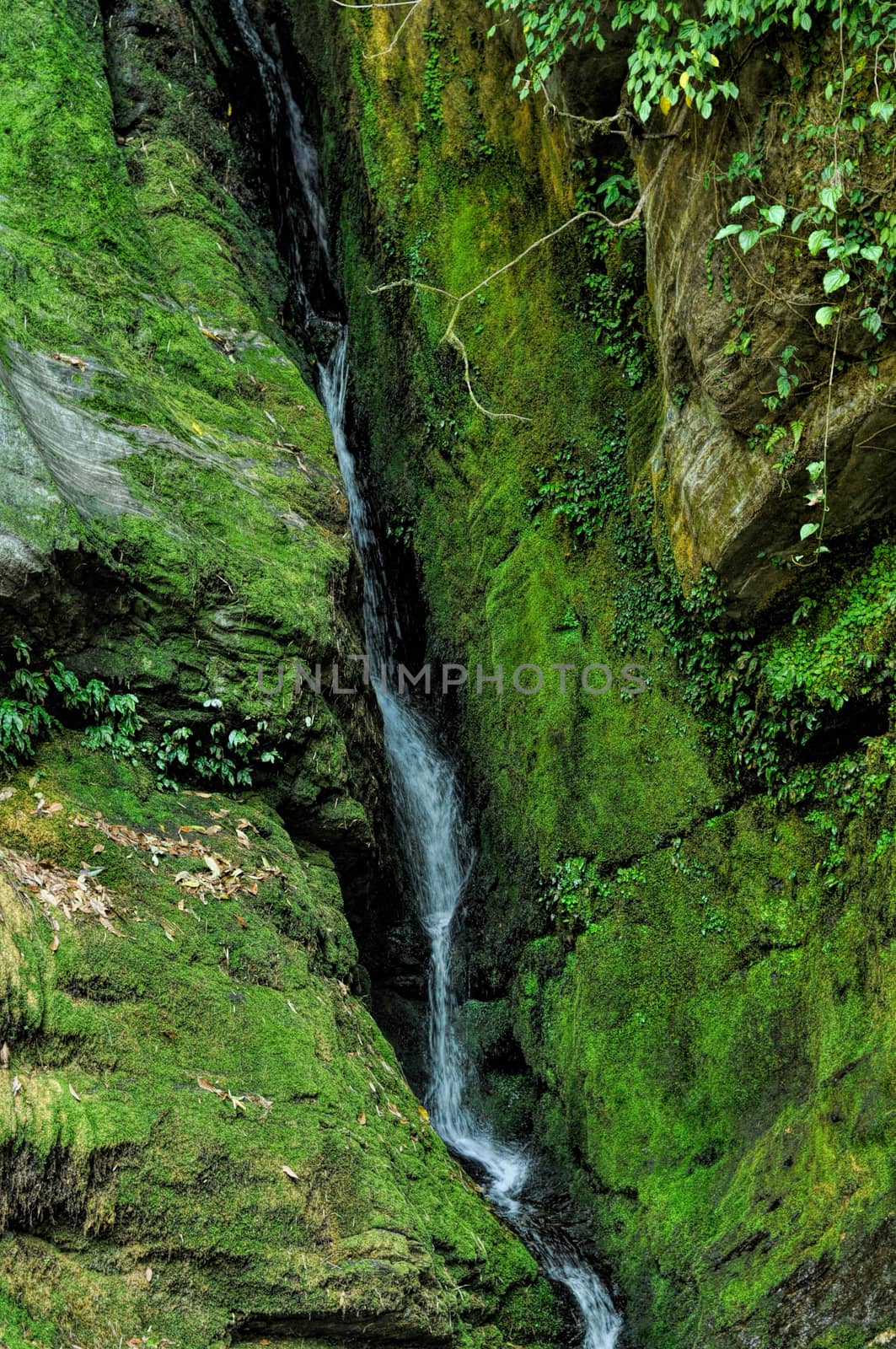 Small scenic green waterfall in Nepal