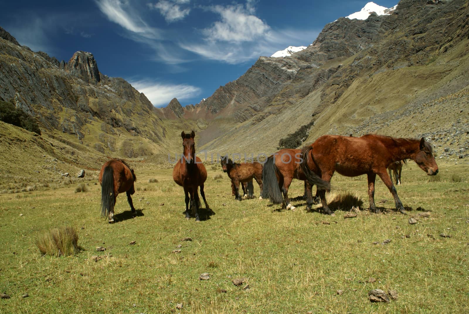 Peruvian Andes by MichalKnitl