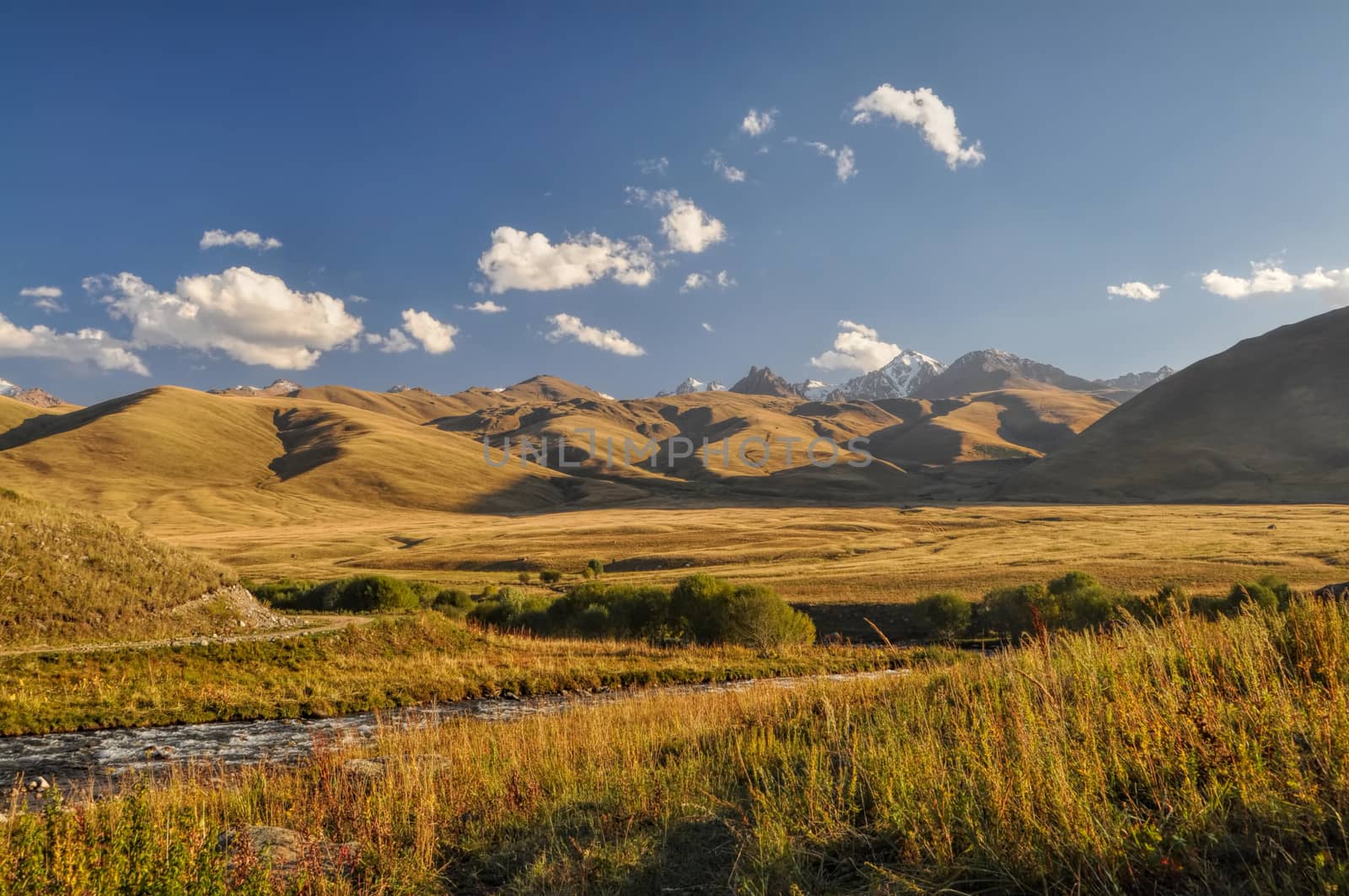 Grasslands in Kyrgyzstan by MichalKnitl