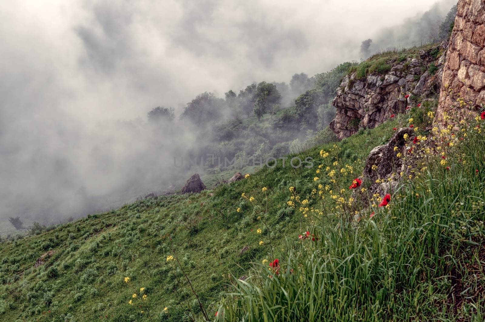 Dense fog crawling across green landscape of mountainous Karabakh