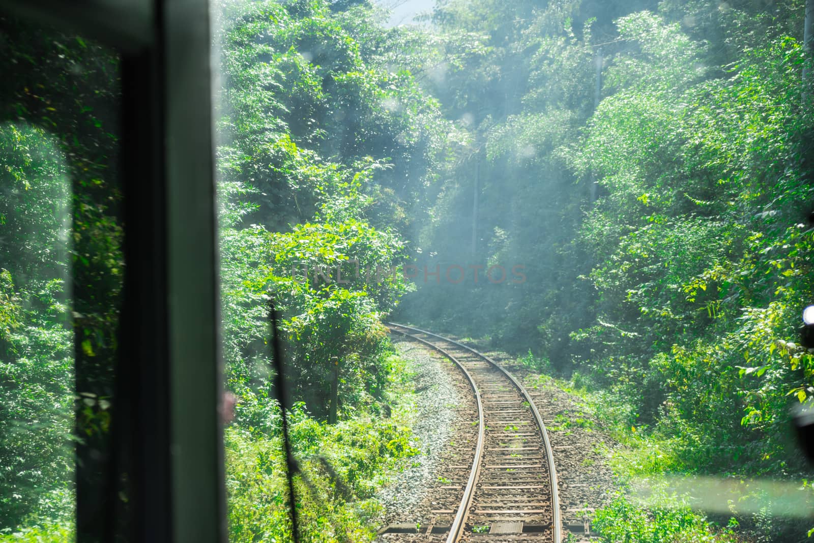 Front view from the train which are headed to the nature