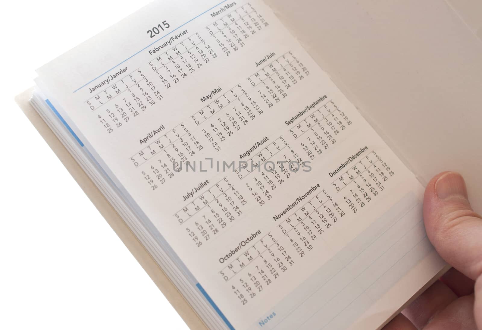 Woman hand holding new calendar of 2015 