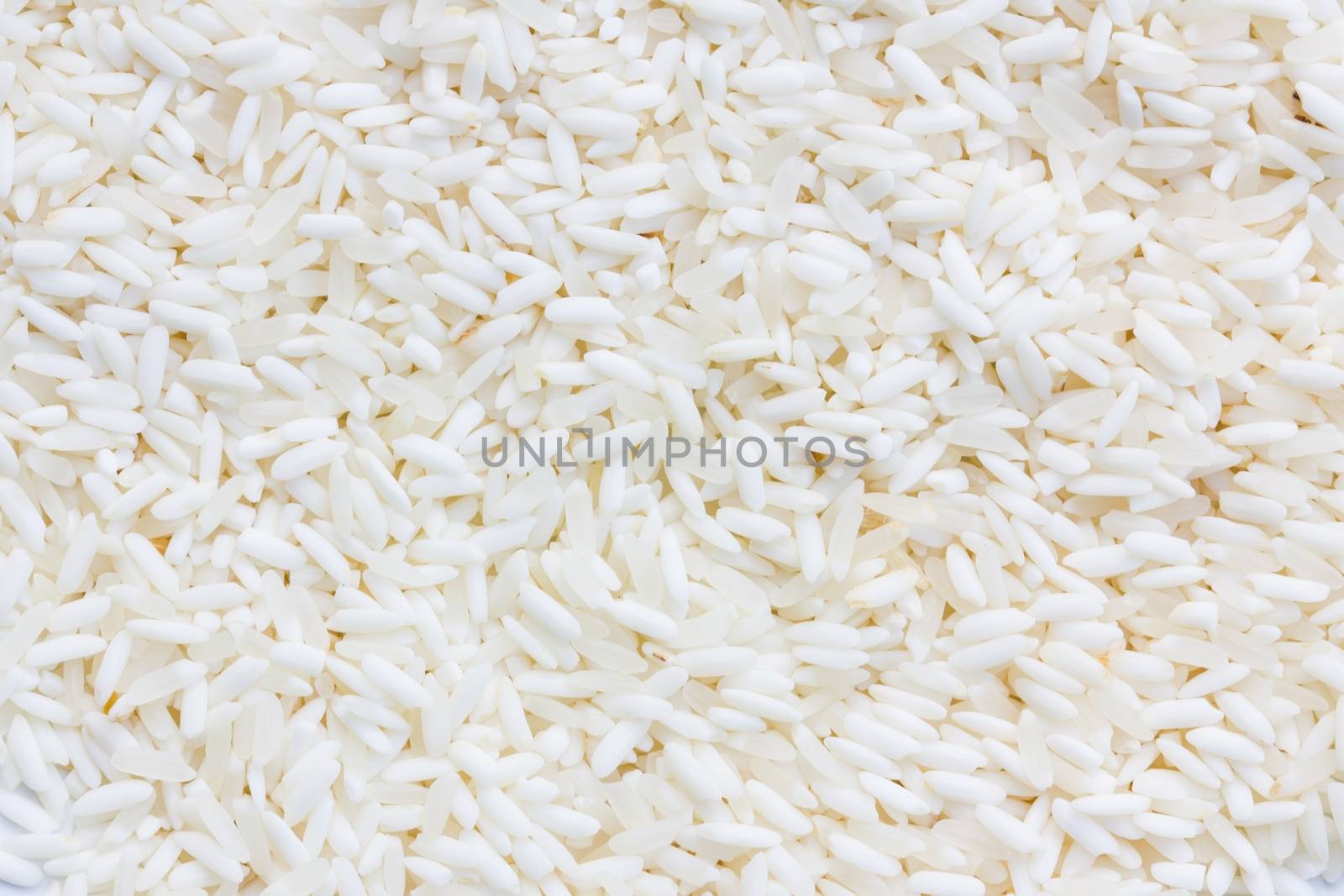 White long rice background, uncooked raw cereals, extreme macro closeup