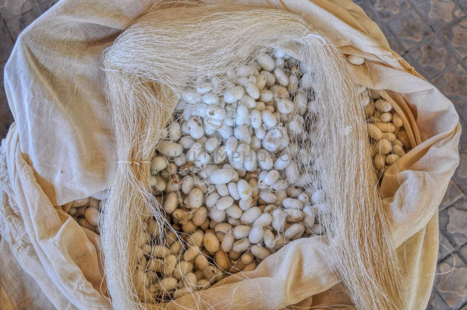 Bag full of cocoons used for silk production in Uzbekistan