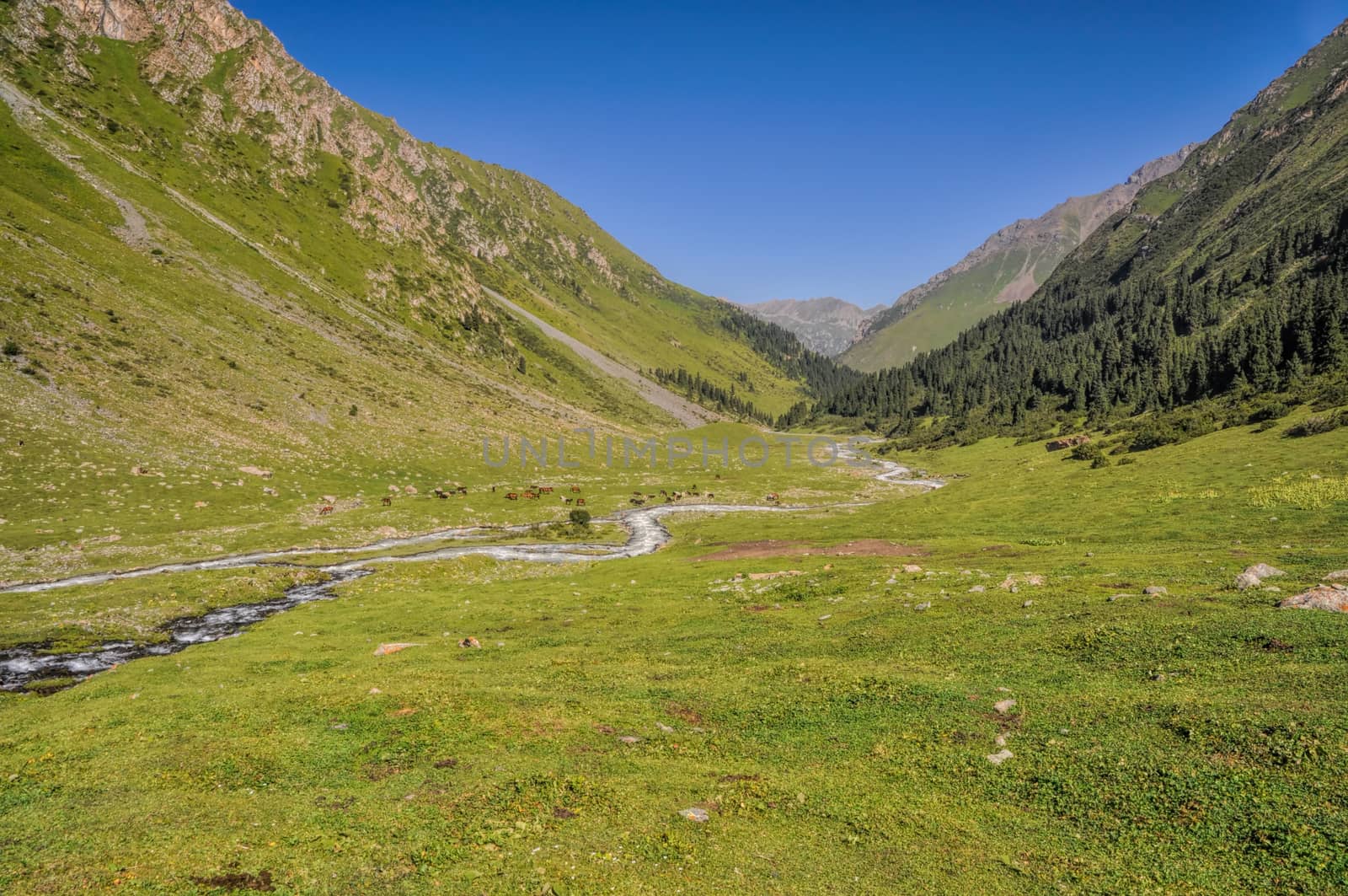 Picturesque view of green valley in Tien-Shan mountain range in Kyrgyzstan