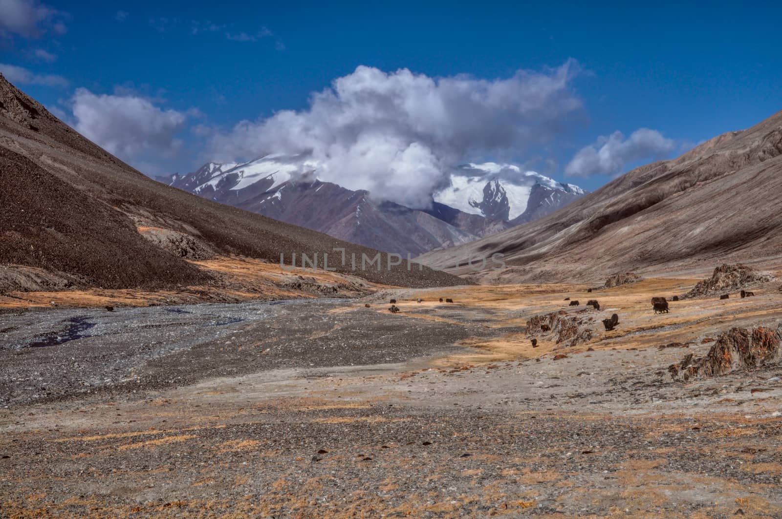 Valley in Tajikistan by MichalKnitl