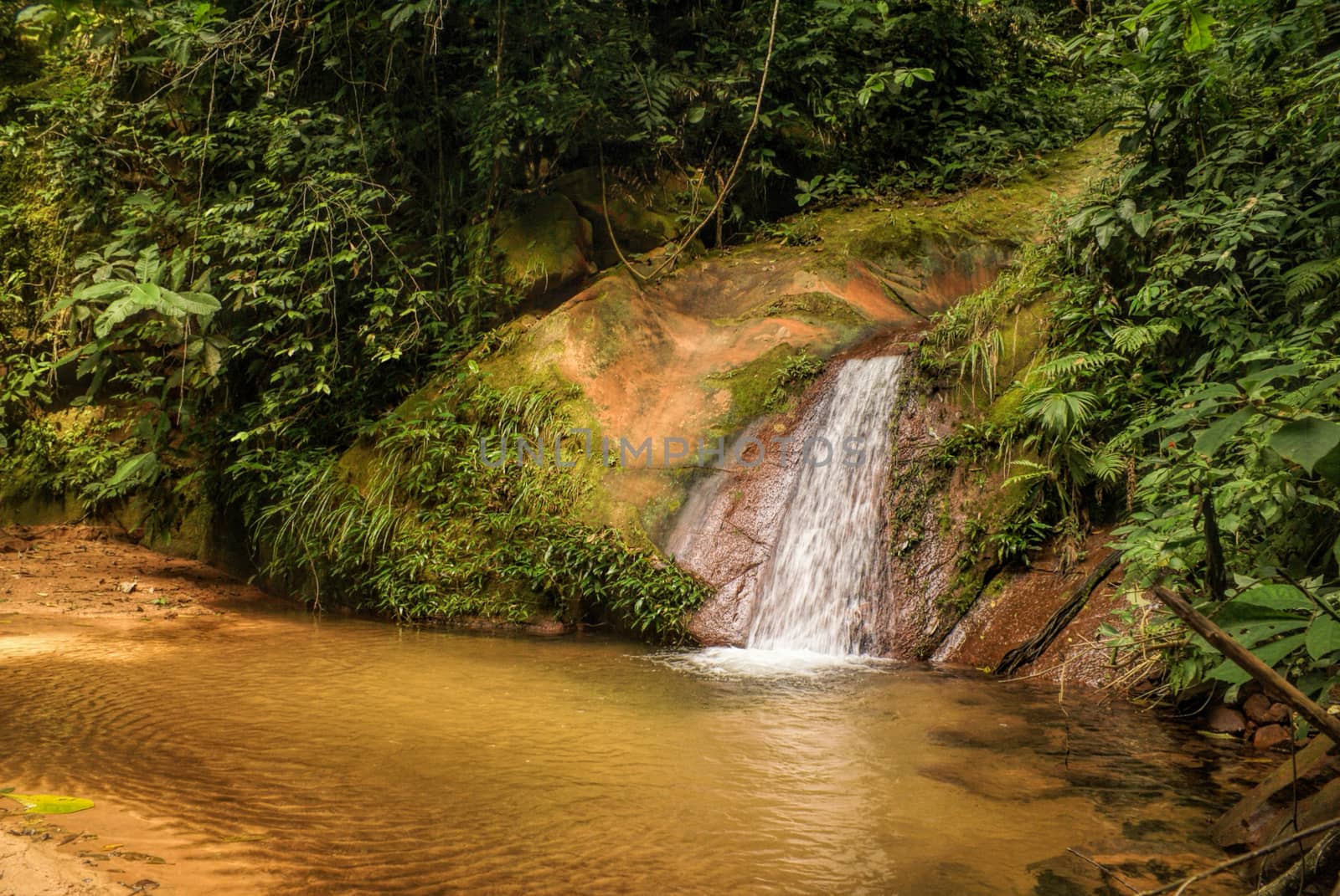 Water cascade in Bolivian jungle forest