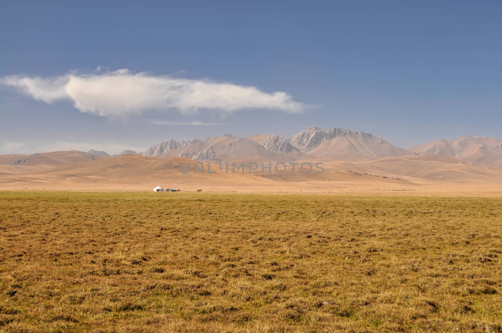 Scenic view of traditional landscape on green grasslands in Kyrgyzstan