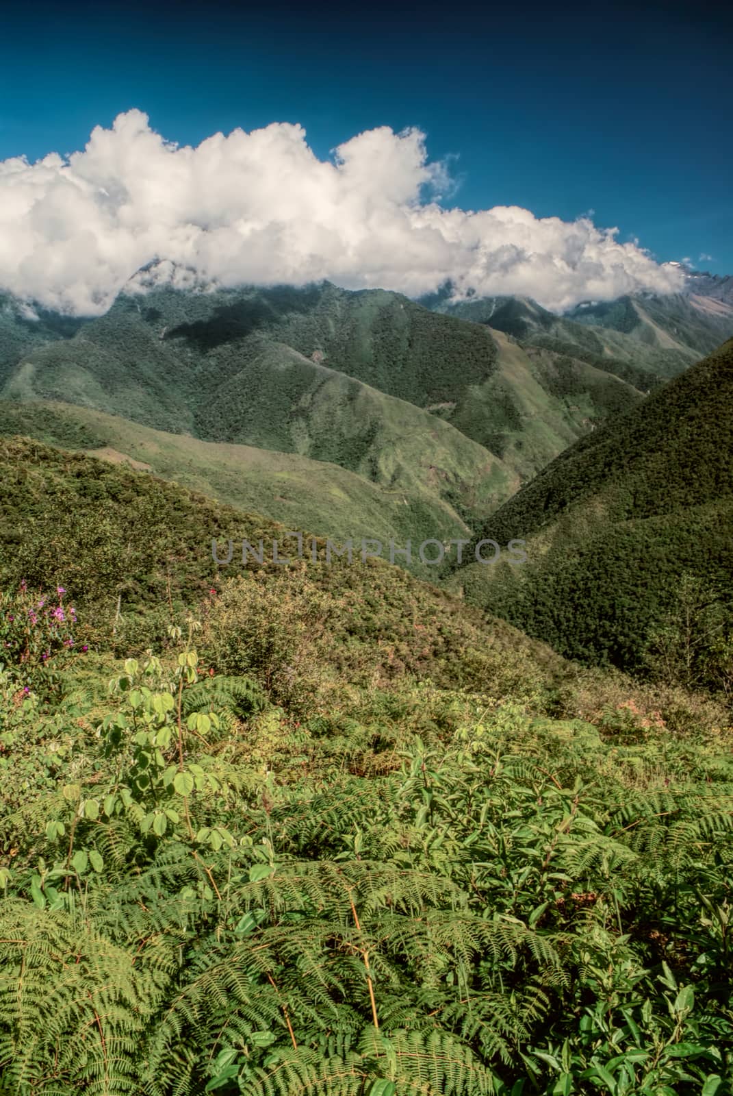 Valley in Andes by MichalKnitl