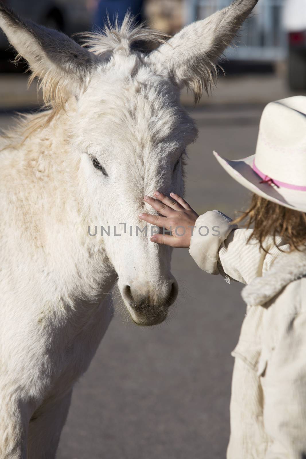 White Baby Burro with young girl in Oatman Arizona USA