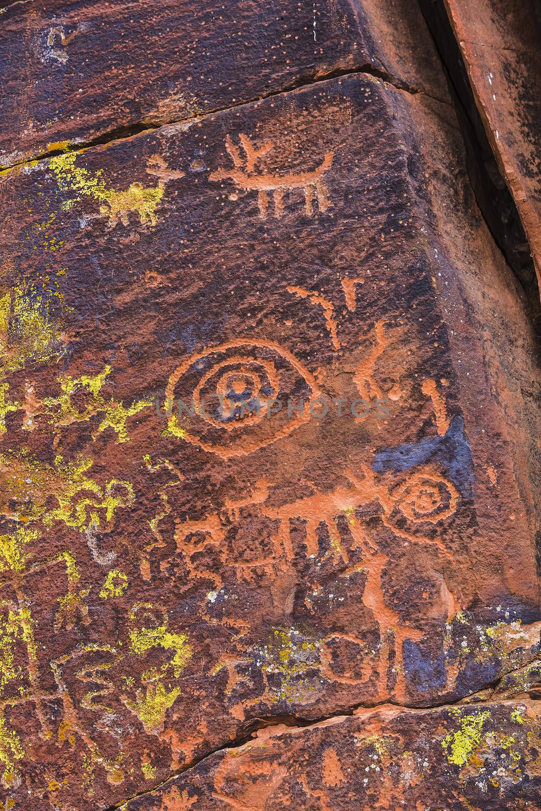 Close up of North American petroglyph panel etched on stone