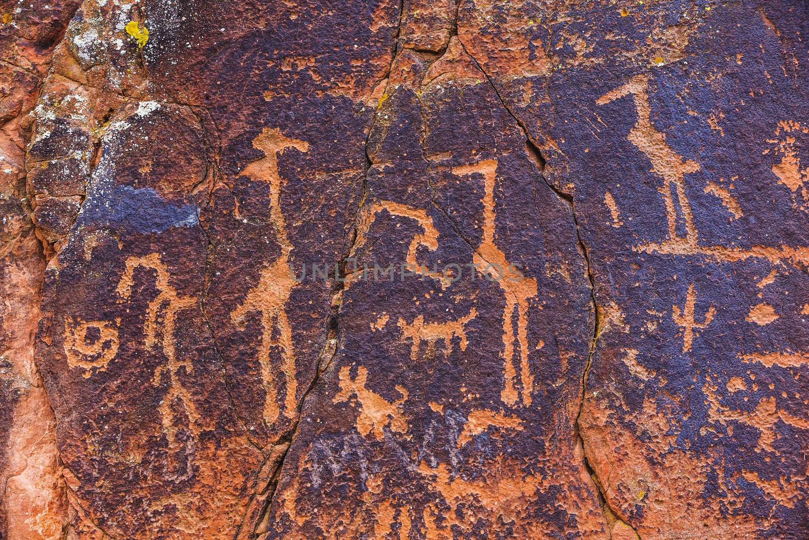 Water birds and other symbols in Sinaguan Style petroglyph