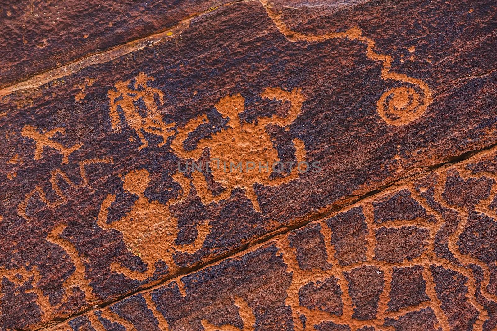 Petroglyph Turtles by Creatista