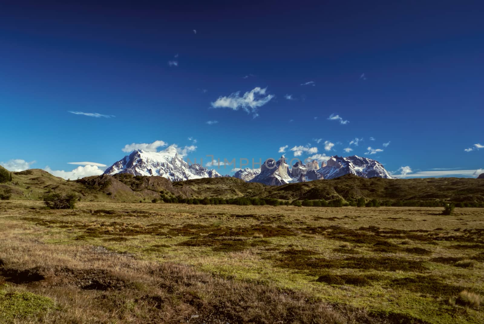Scenic view of snowy peaks and grassy meadows in Torres del Paine National Park