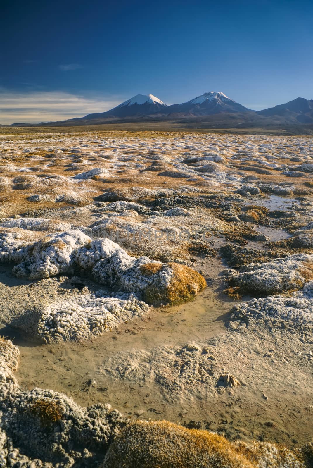 Scenic view of bolivian volcanoes, highest peaks in Sajama national park in Bolivia