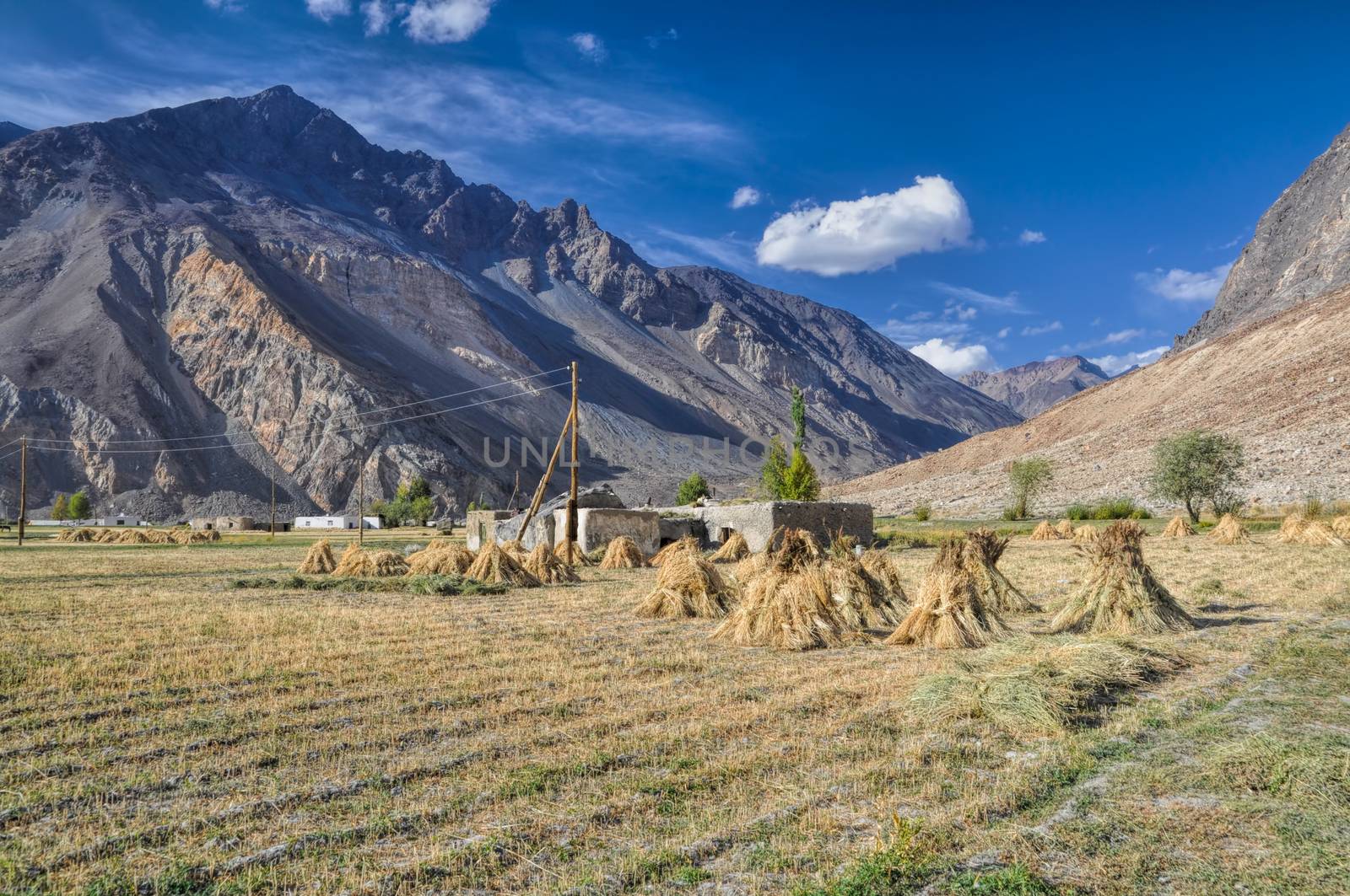 Crops in Tajikistan by MichalKnitl