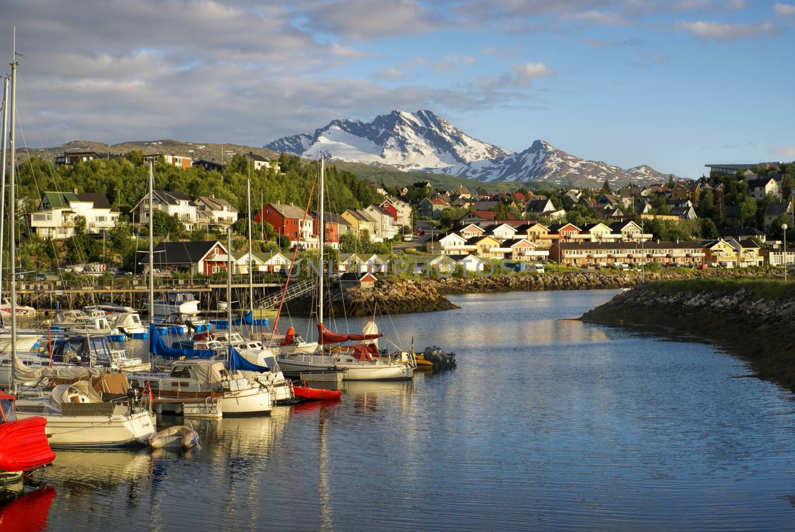 Picturesque view of Narvik and its houses at the foot of a mountain with view of the port