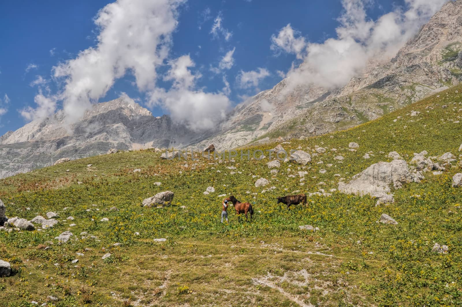 Shepherd with horse and bull in scenic mountain range in Kyrgyzstan