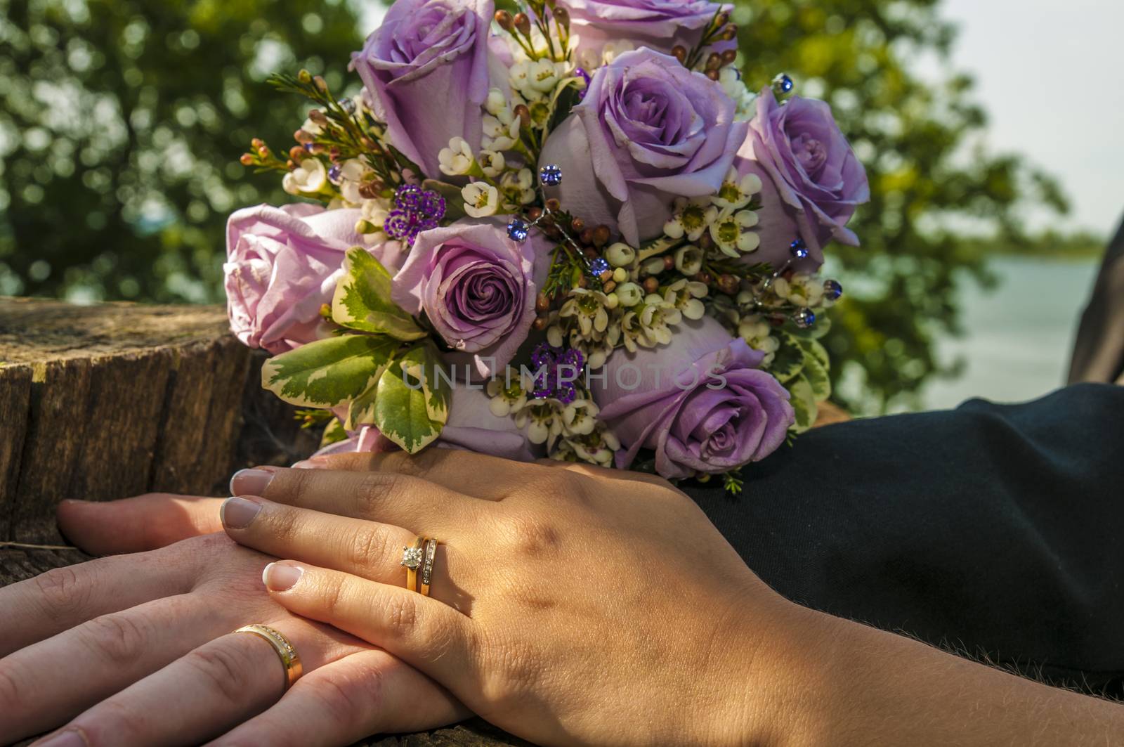 Wedding rings by vladikpod