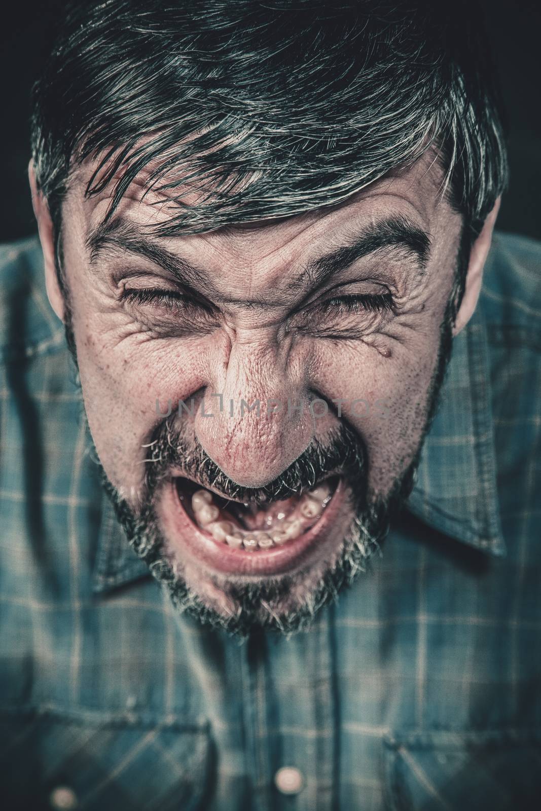 Angry man screaming by anelina