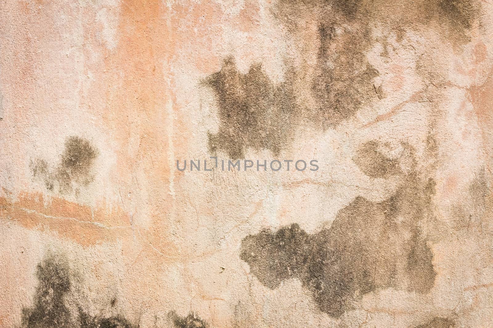 abstract the old grunge wall, background.