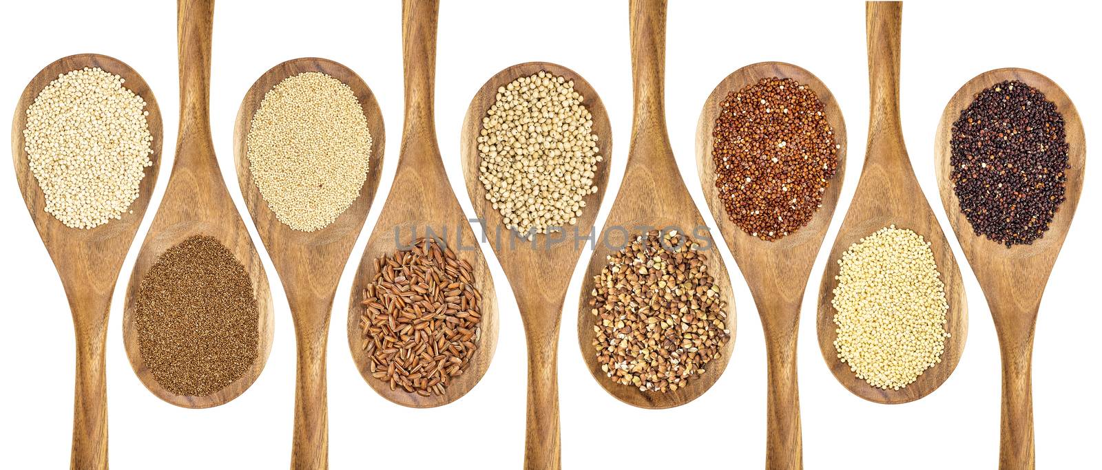 a variety of gluten free grains (buckwheat, amaranth, brown rice, millet, sorghum, teff, black, red and white quinoa) on wooden spoons isolated on white