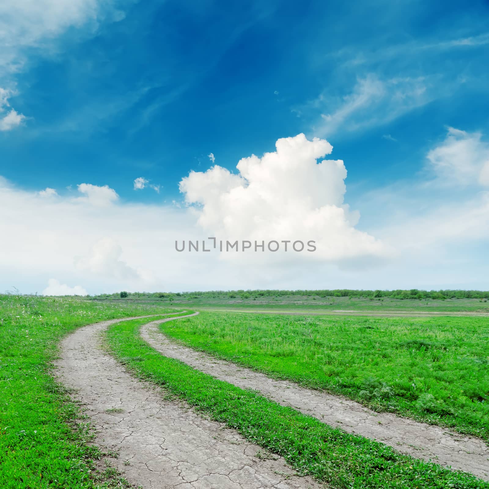 road in green grass under deep blue sky by mycola