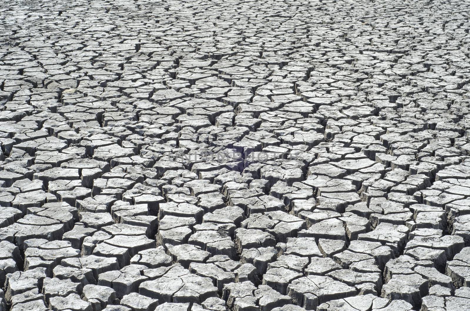 cracked surface of desert as background