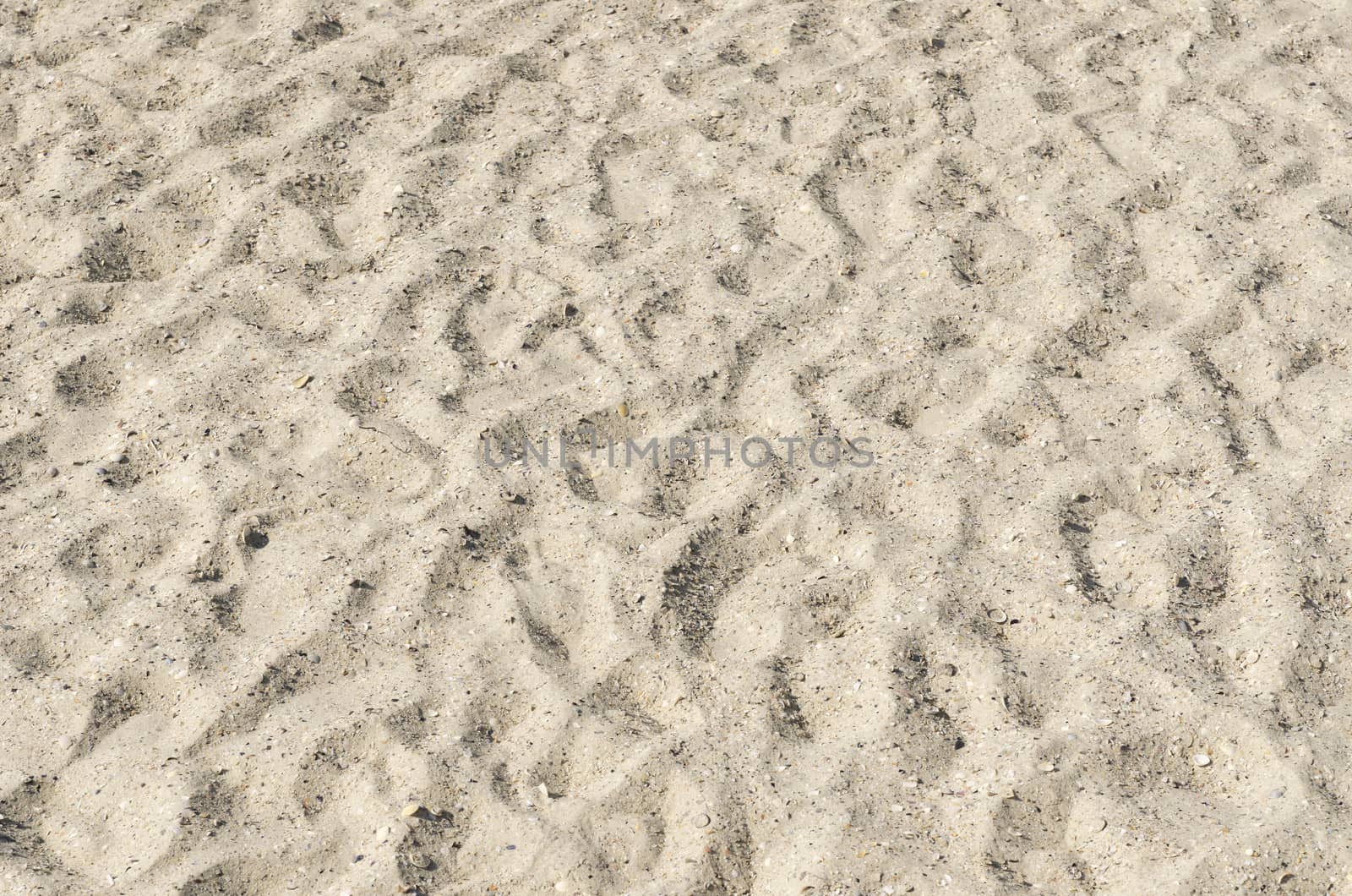 sand on beach by mycola