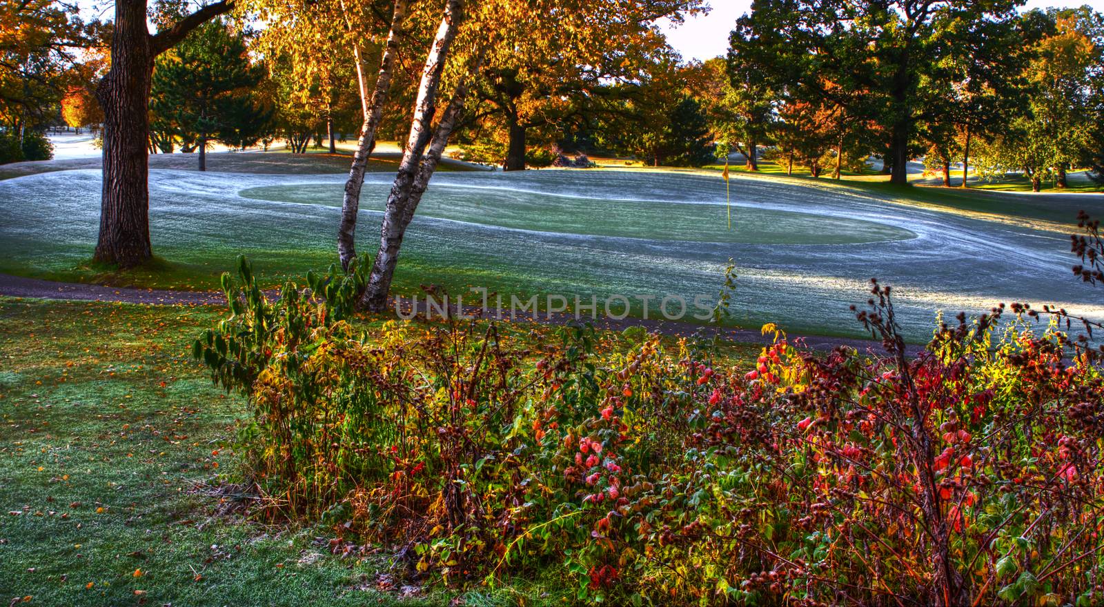 October's Fall Colors at the Golf Course in hdr.