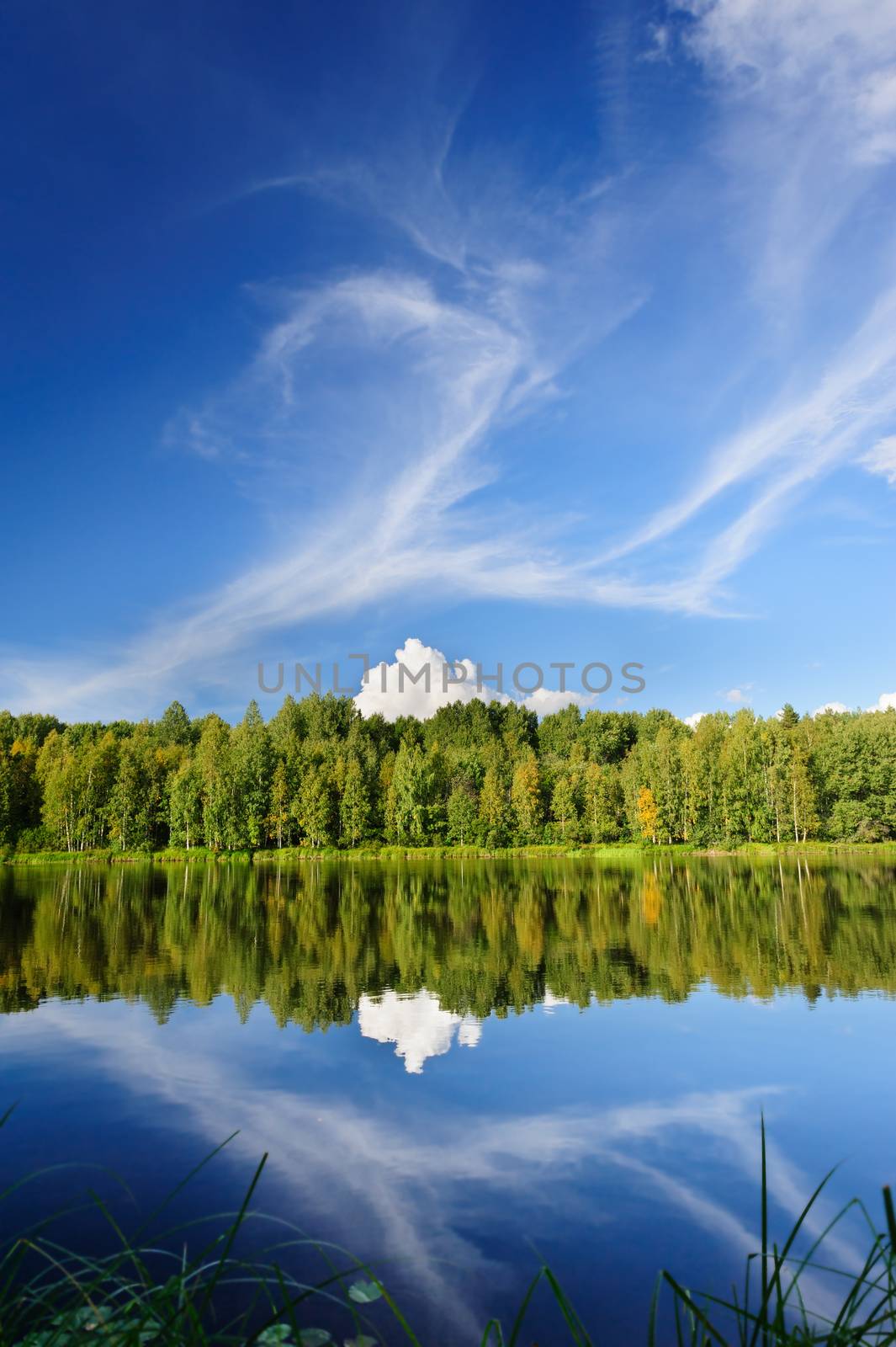 Beautiful river coast in the wild Karelian woods, Karjal