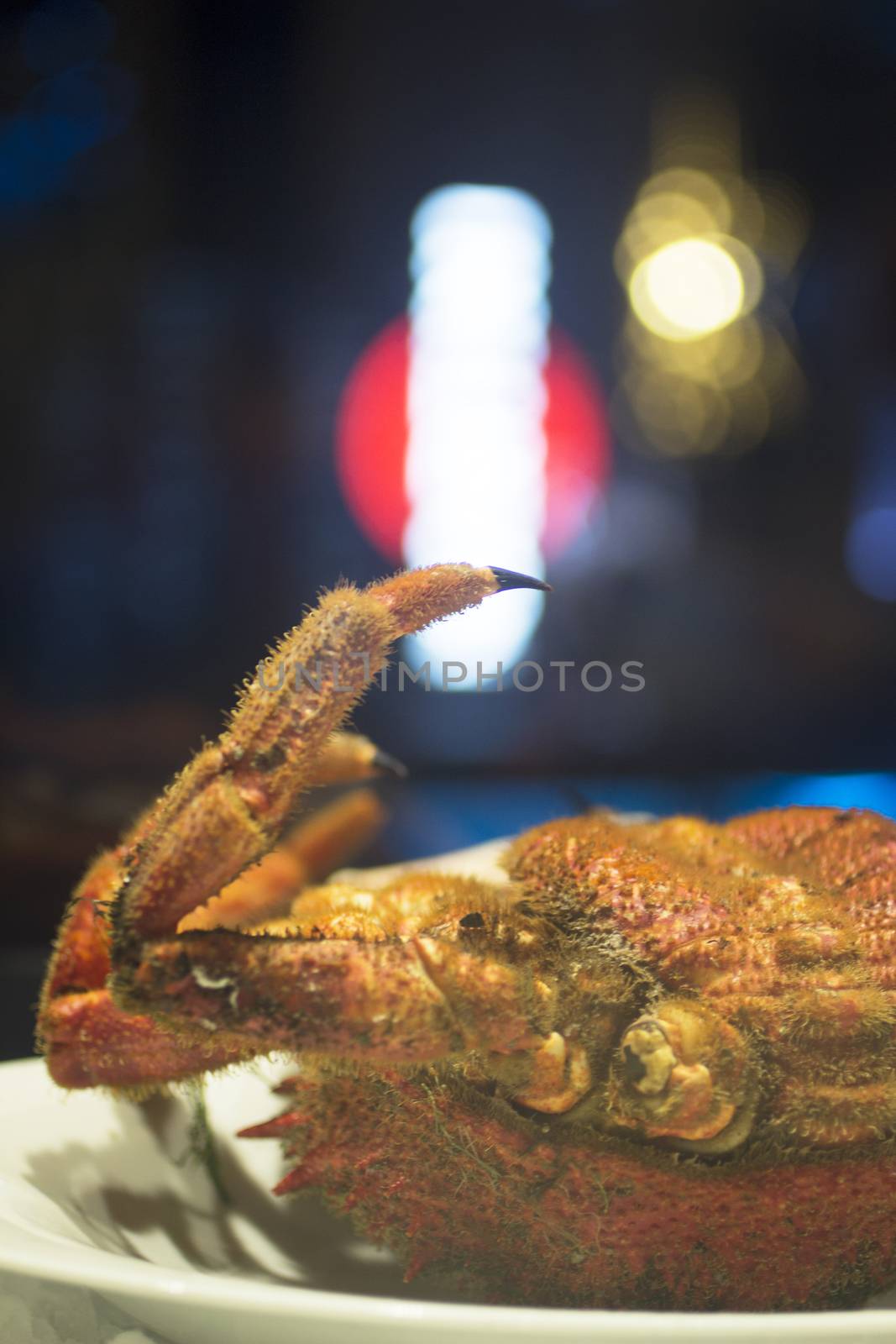 Crab in dish on ice in restaurant photo.