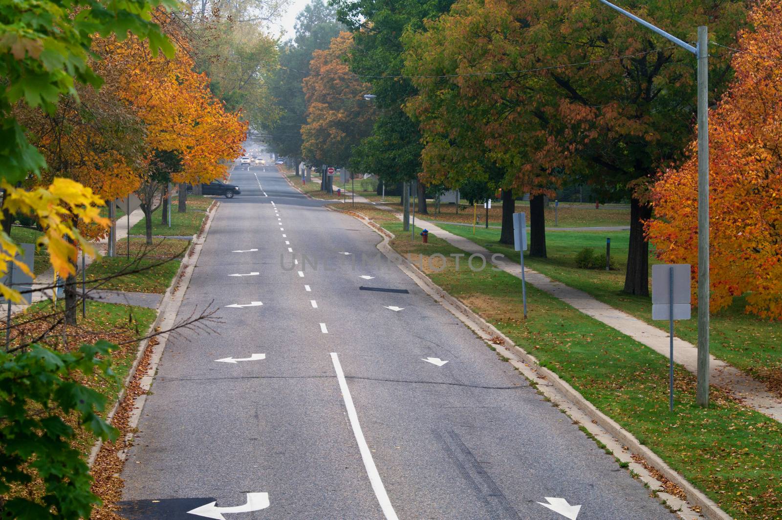 Fall colours on a tree lined street in Fredericton New Brunswick