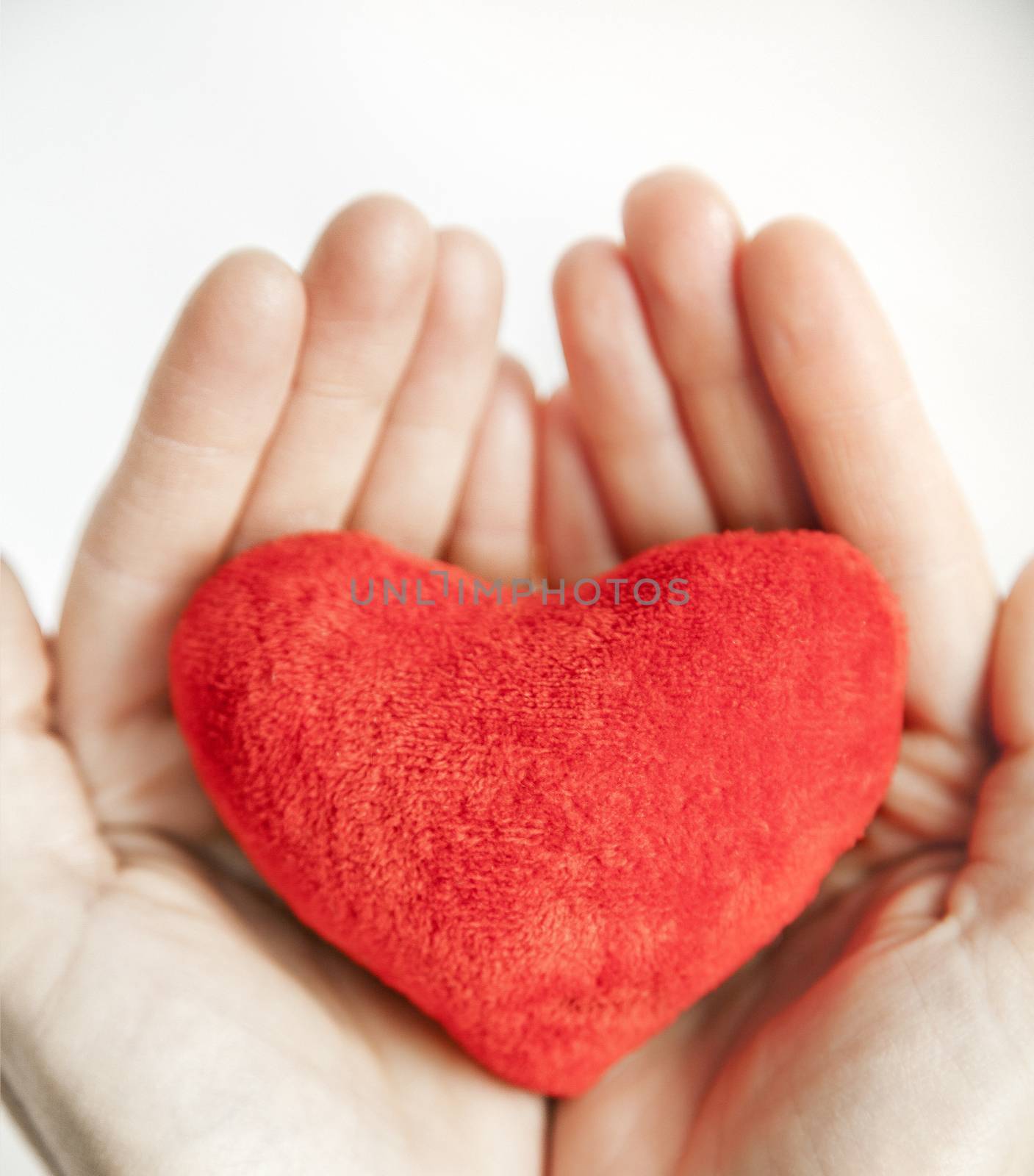 love concept. holding a red heart in hands. by anelina