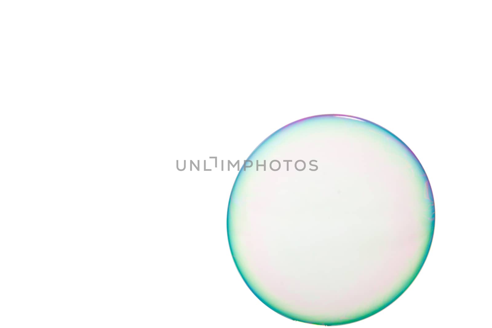 One soap bubble on a white background