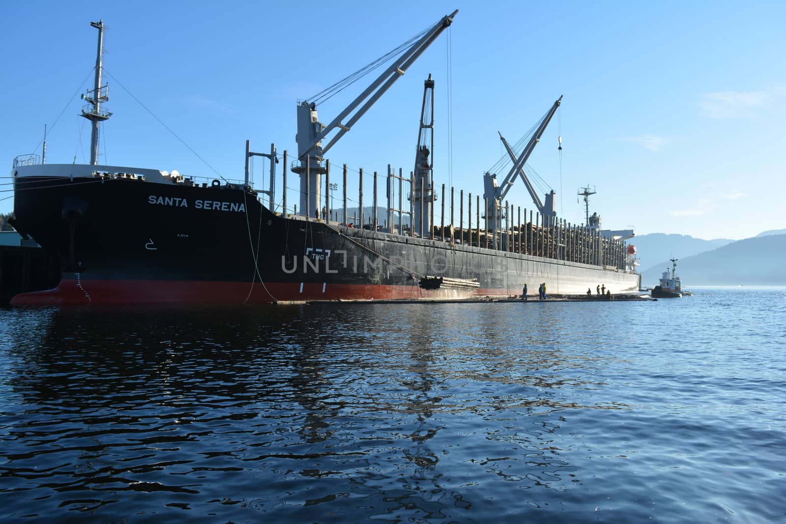 Tanker loading wood