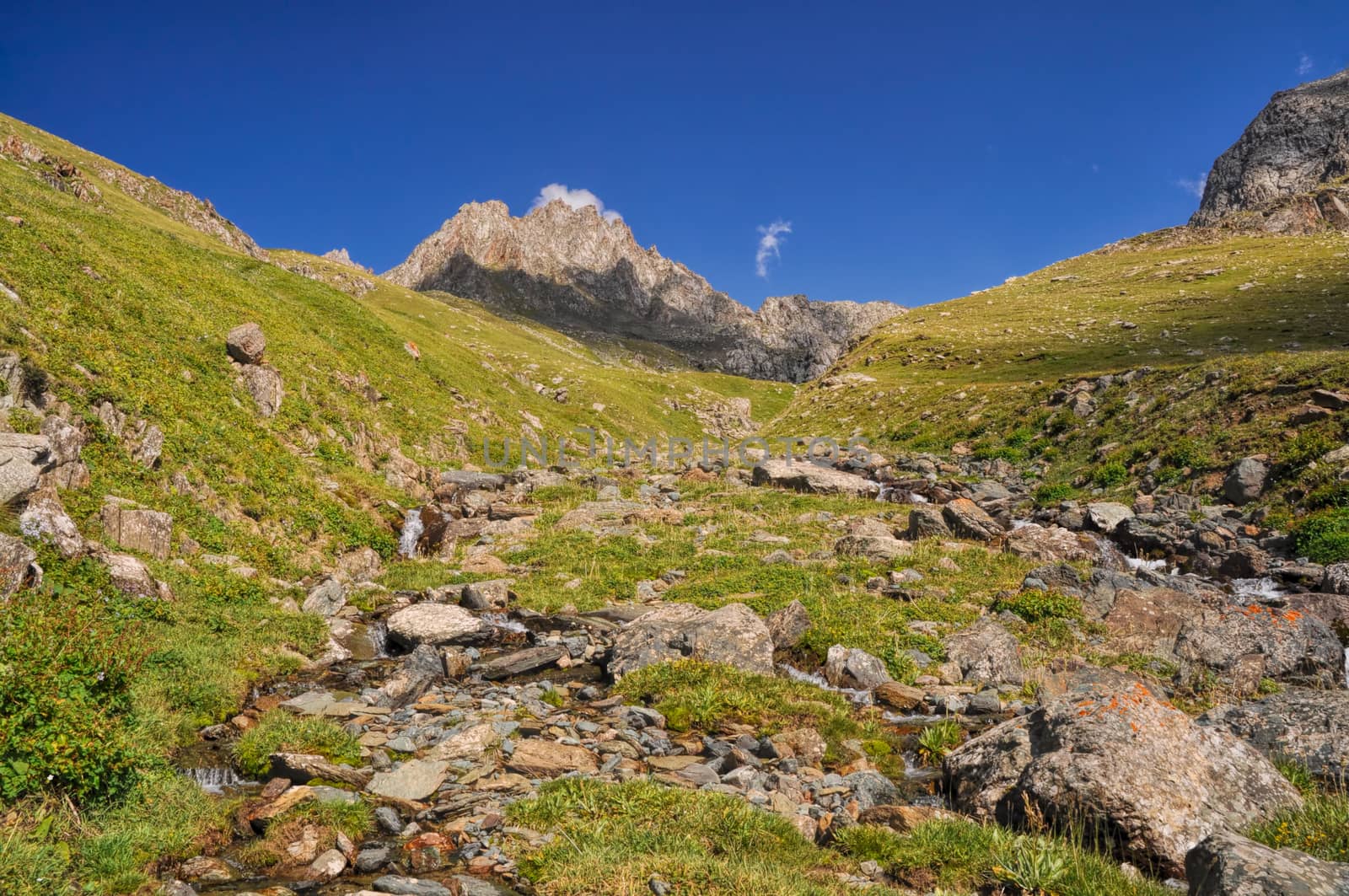 Water stream in mountain range Tien-Shan in Kyrgyzstan