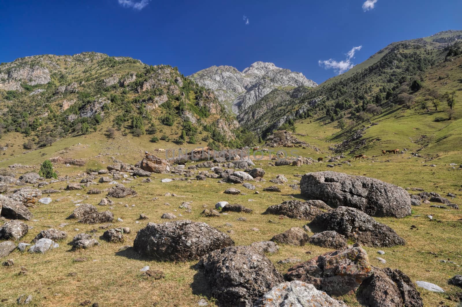 Scenic landscape in mountain range Tien-Shan in Kyrgyzstan