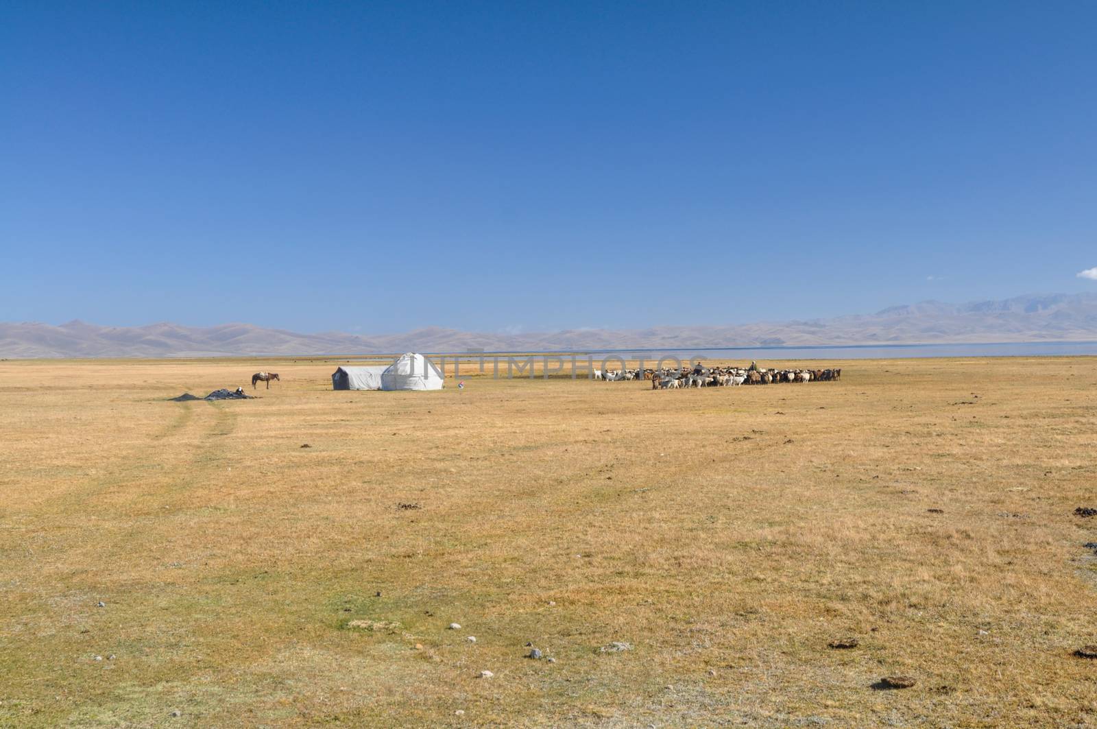 Yurt in Kyrgyzstan by MichalKnitl