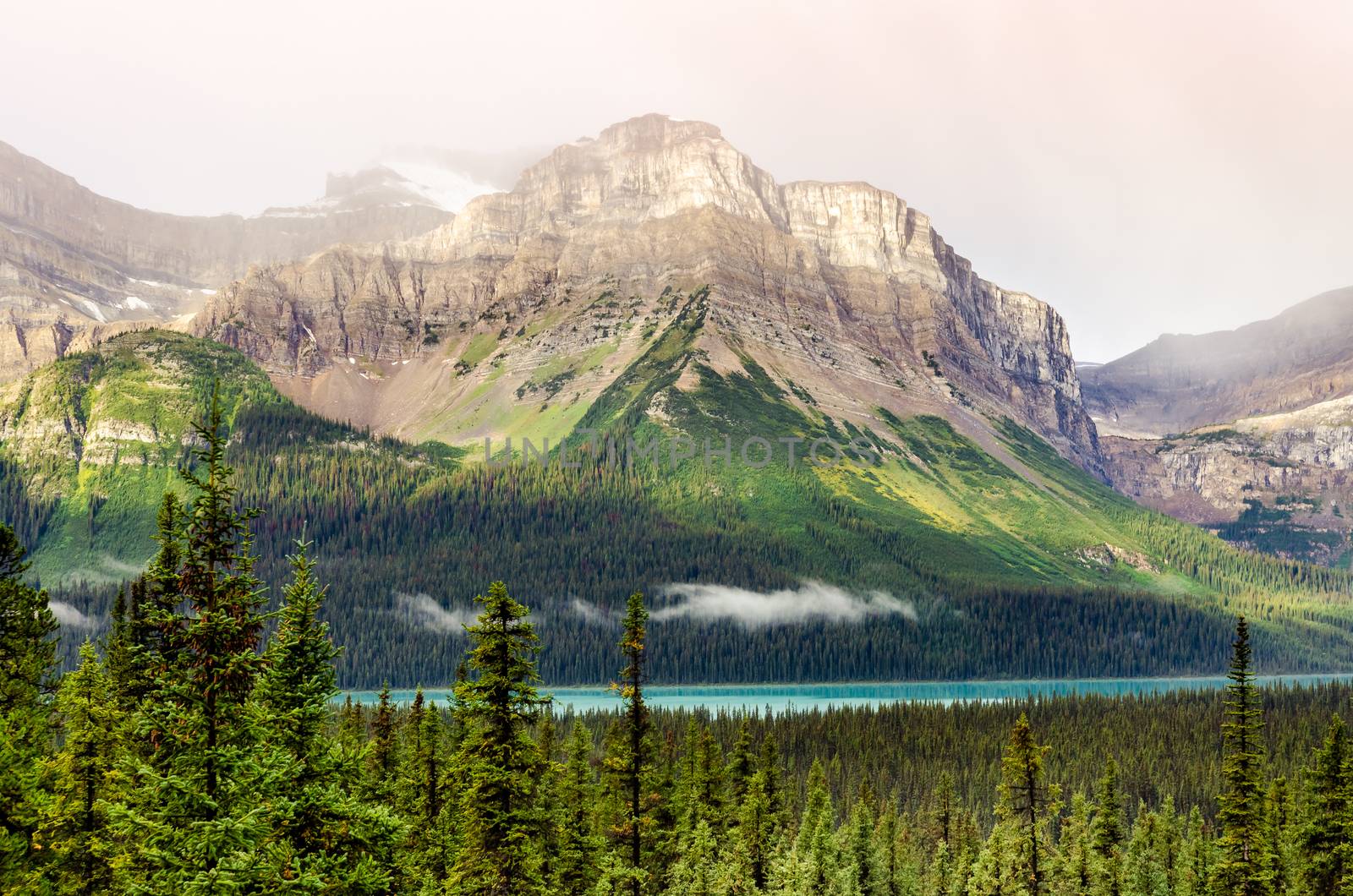 Scenic mountain view near Icefields parkway, Canadian Rockies, Alberta, Canada