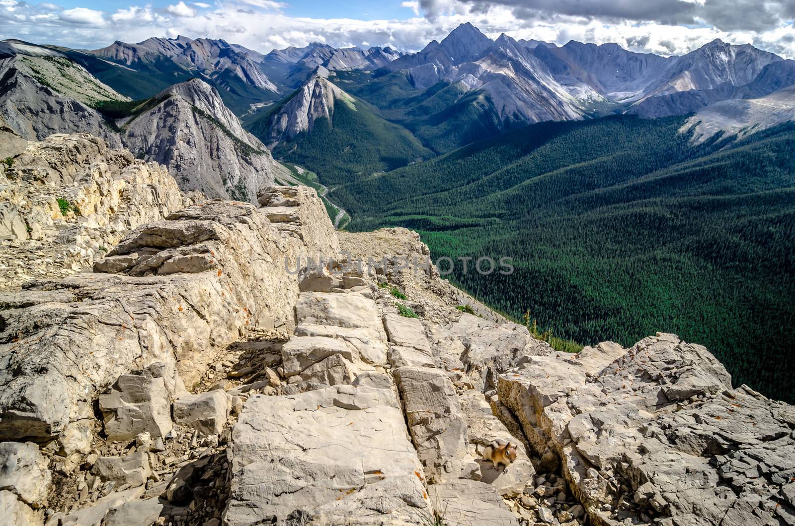 Mountains range view in Jasper NP with chipmunk in foreground, Alberta, Canada
