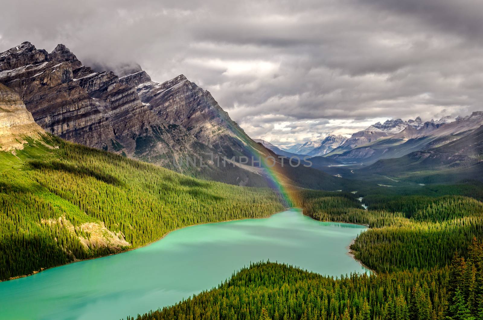 Scenic mountain view of Peyto lake valley, Canadian Rockies by martinm303