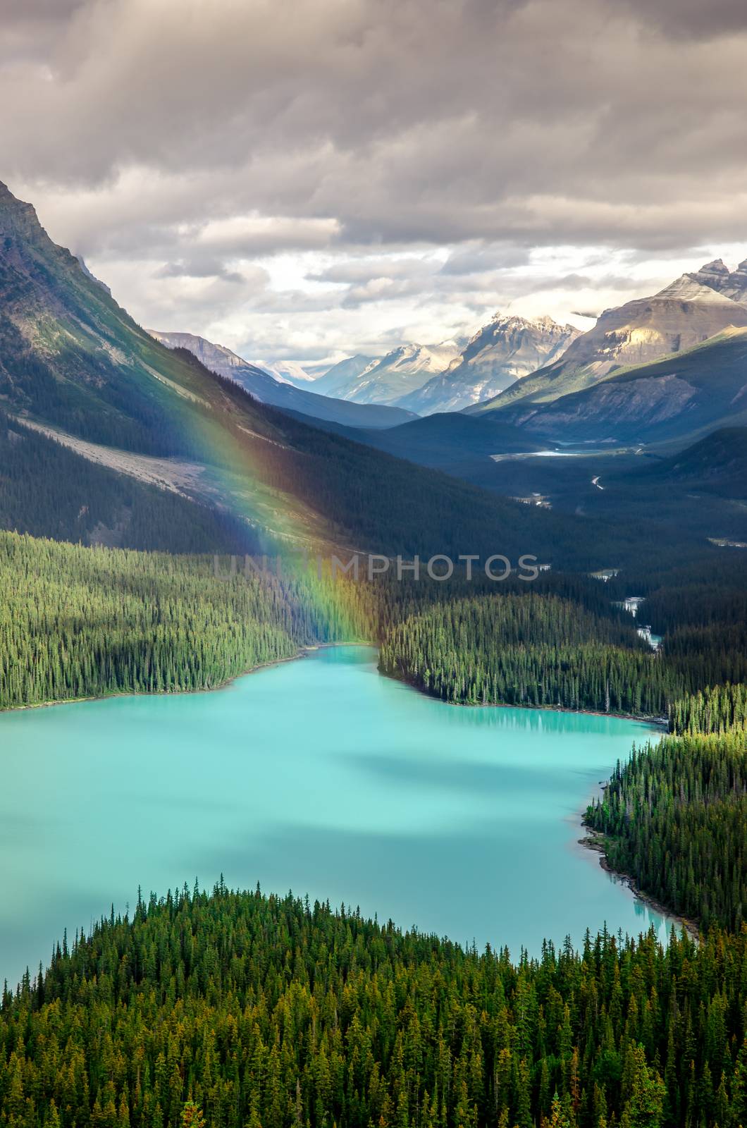 Scenic mountain view of Peyto lake, Canadian Rockies by martinm303