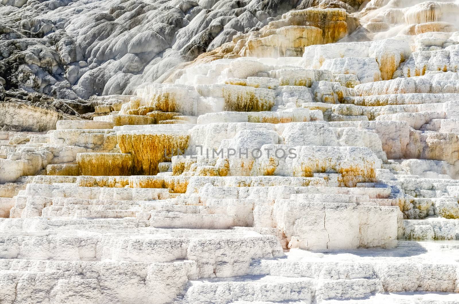 Detail close view of geothermal land in Yellowstone NP by martinm303