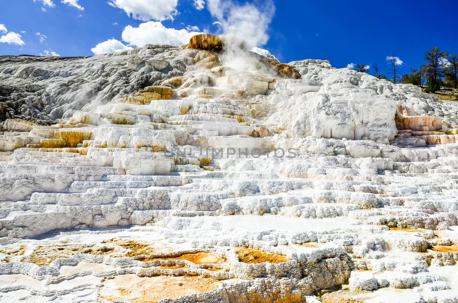 Detail view of beutiful geothermal land in Yellowstone NP, USA