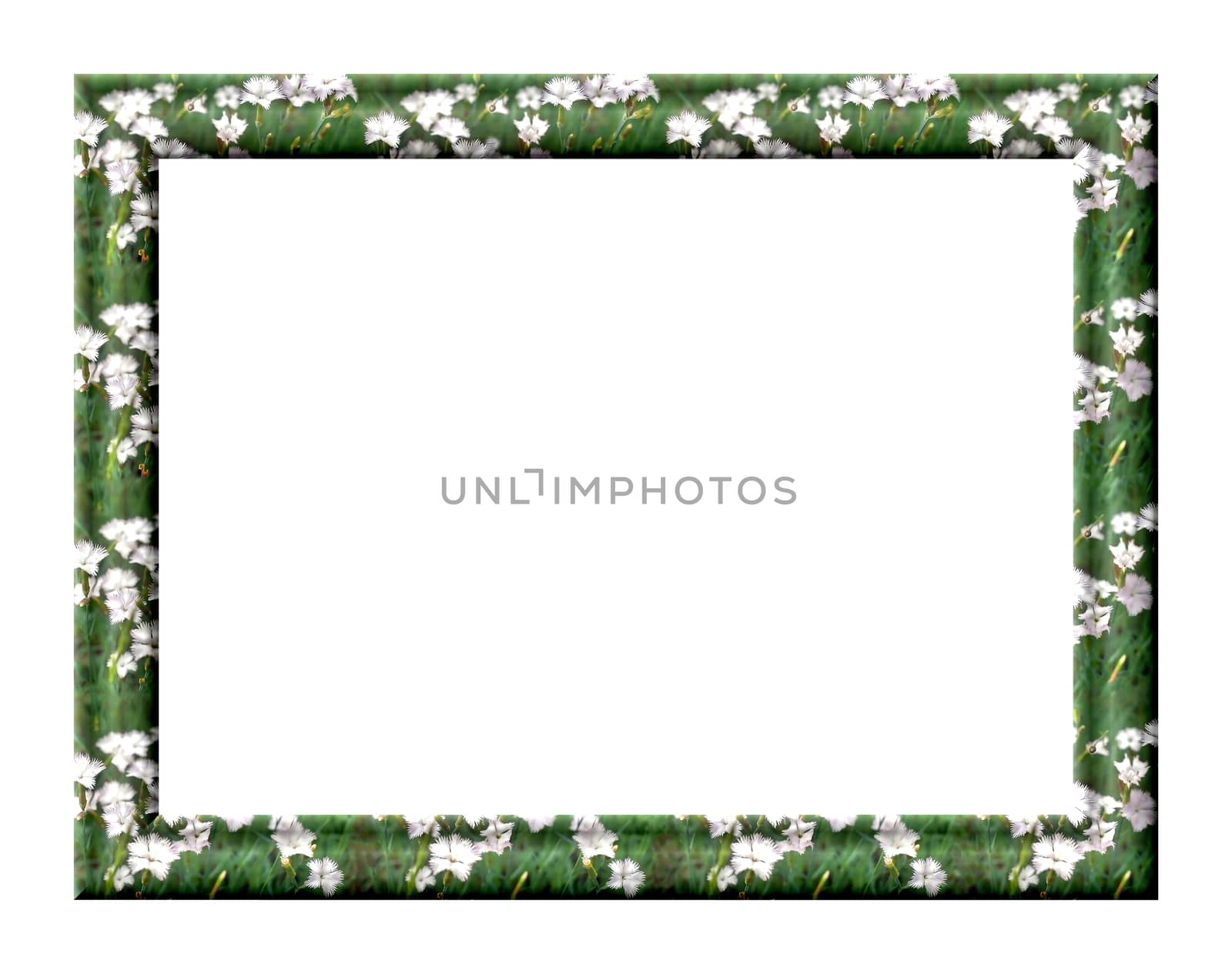 Rectangular blank frame with a picture of meadow flowers and grass isolated on white background