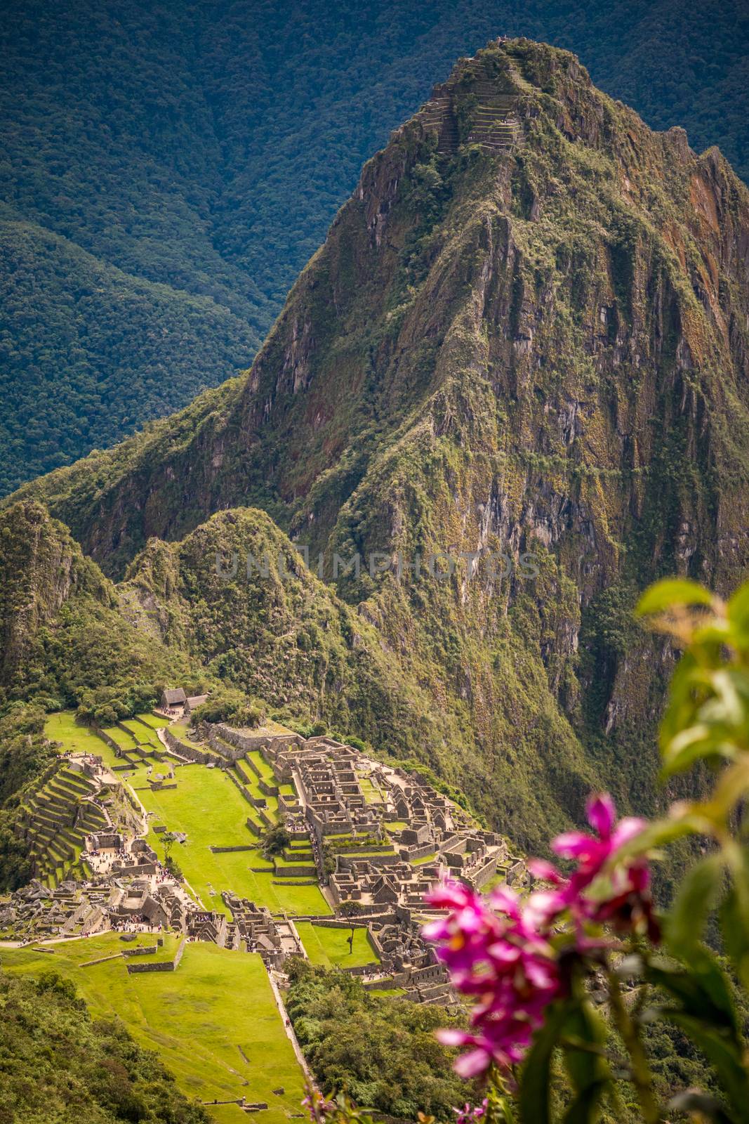 Looking down from Machu Picchu mountain we see the ruins of an ancient city.