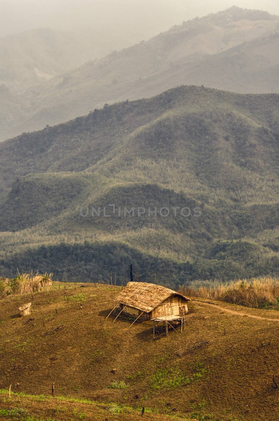 Traditional tribal settlement in remote region of Nagaland, India