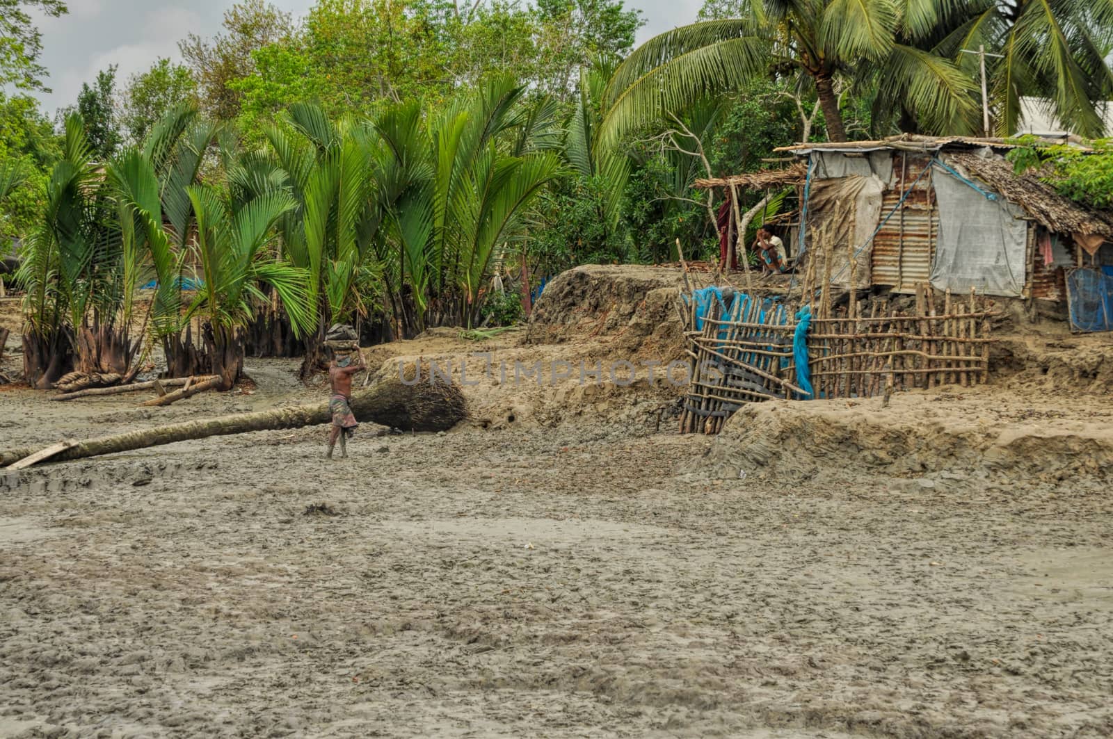 Scenic view of traditional village in Bangladesh